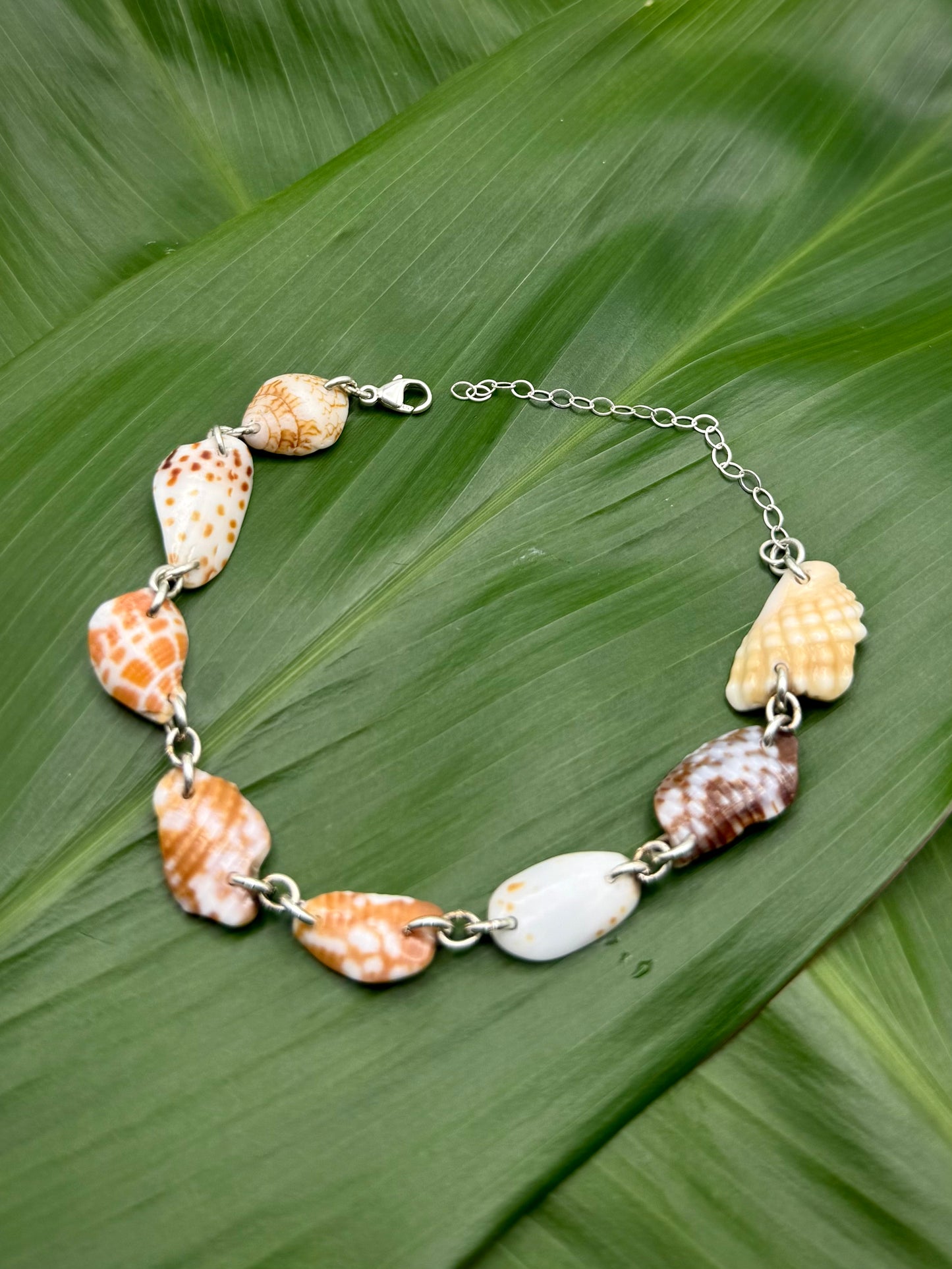 SS Shell Piece Bracelet