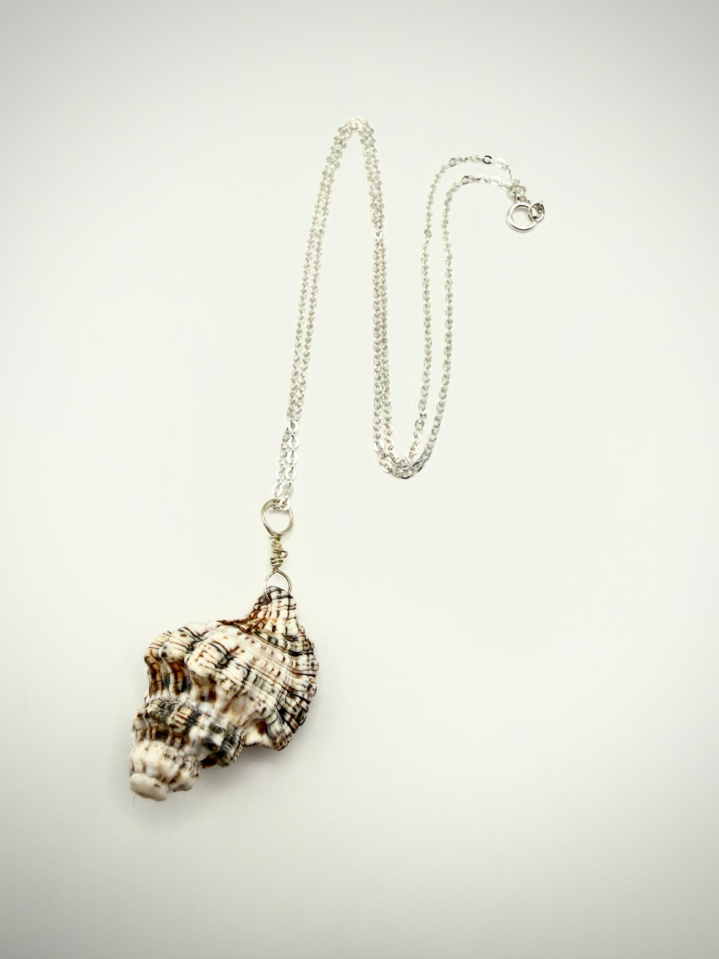 18" SS Triton Shell Necklace