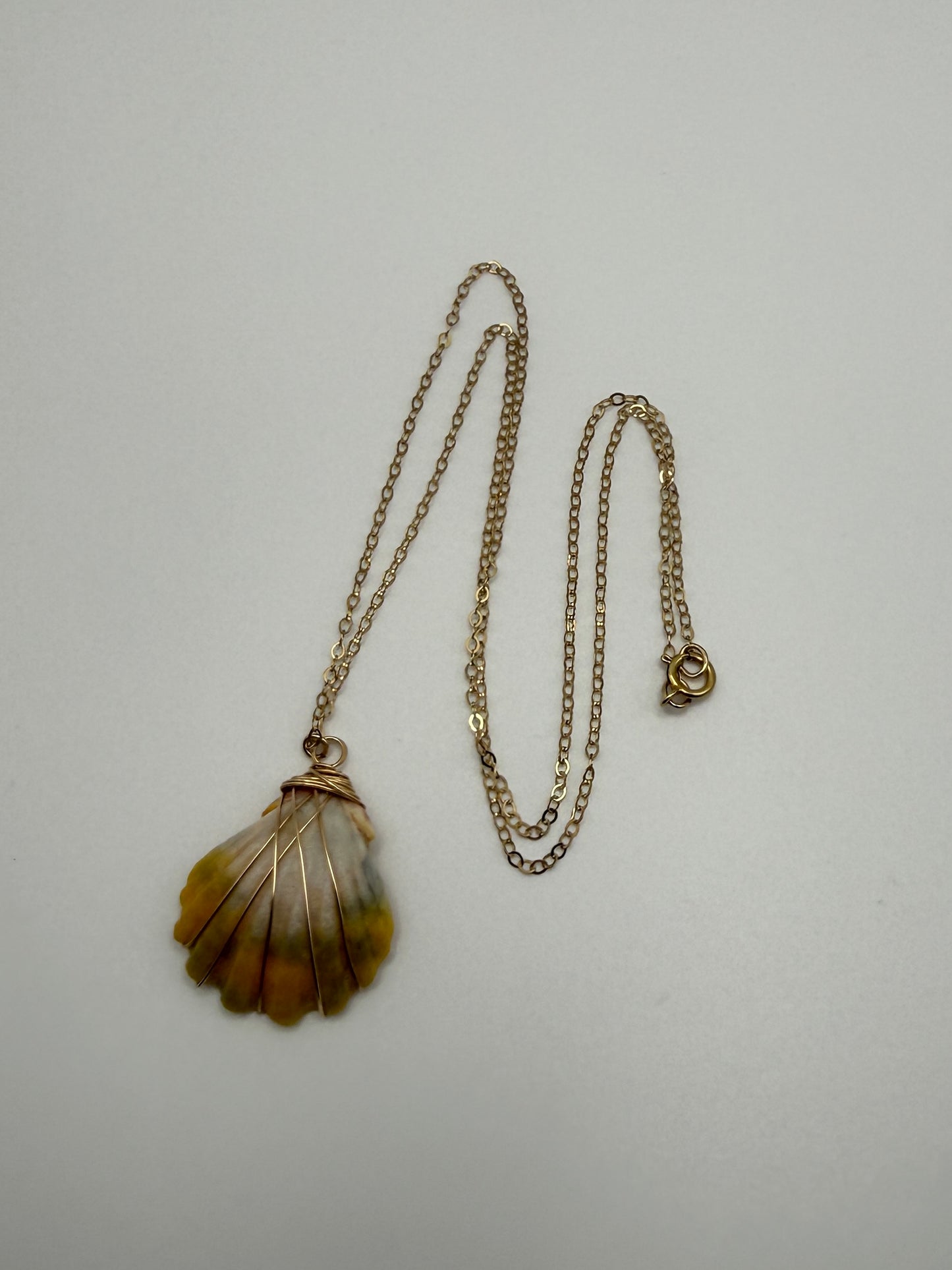18" GF Sunrise Shell Necklace (N)