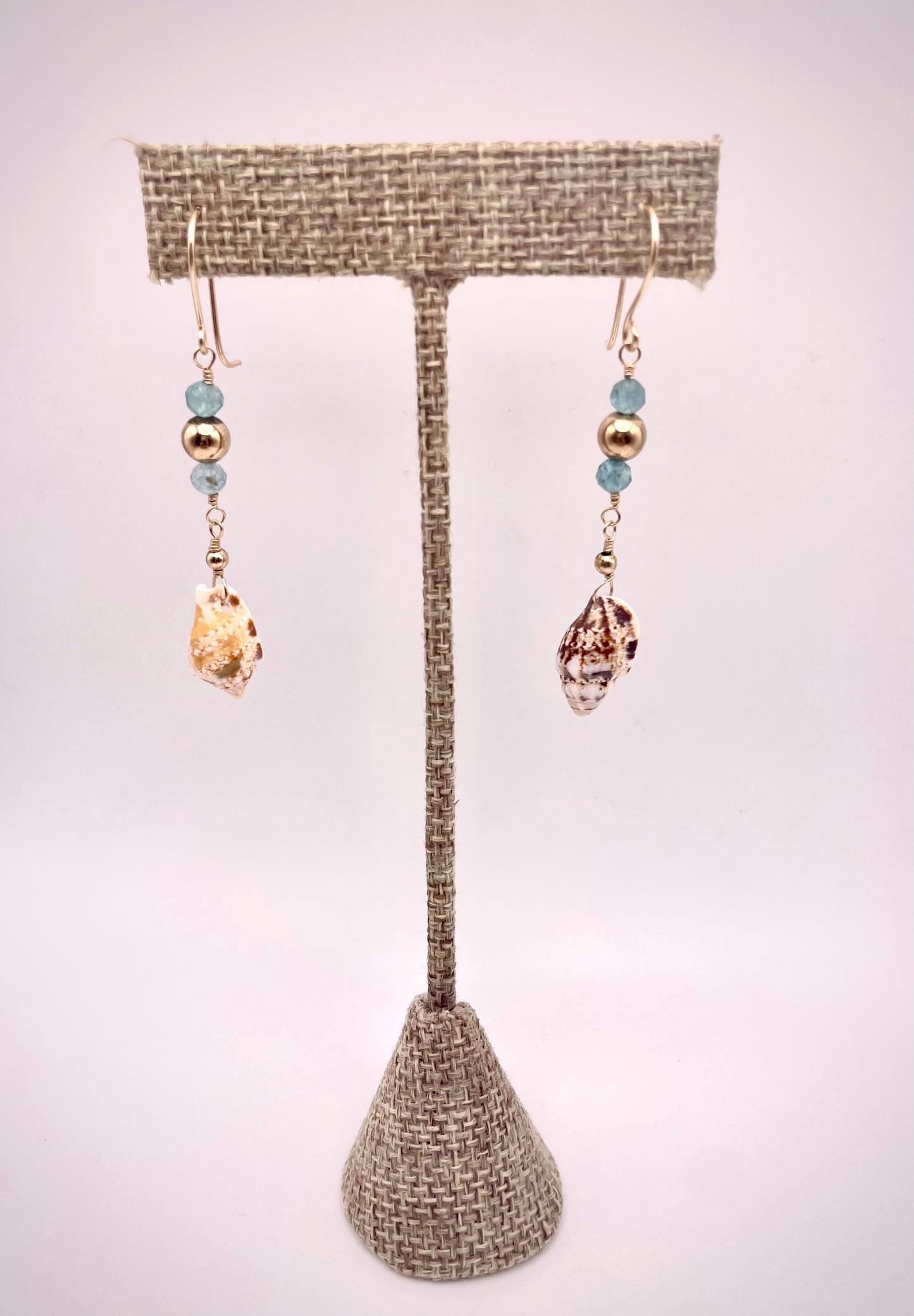 Stromb Shell w/ Apatite