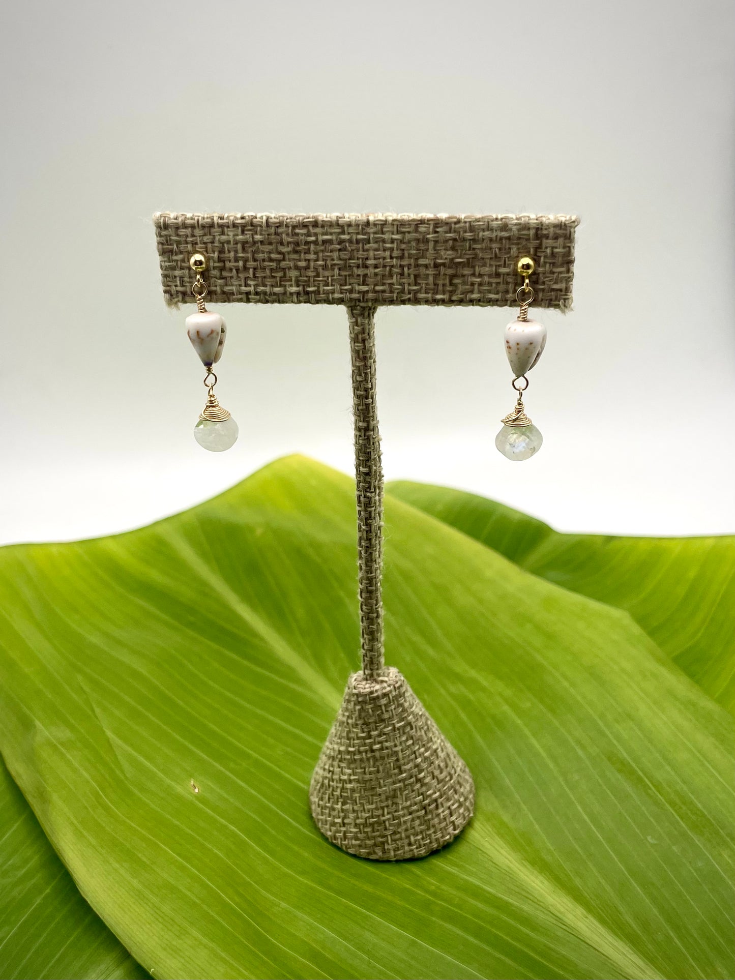 All That Glitters: Mini Cone Shell w/ Moonstone