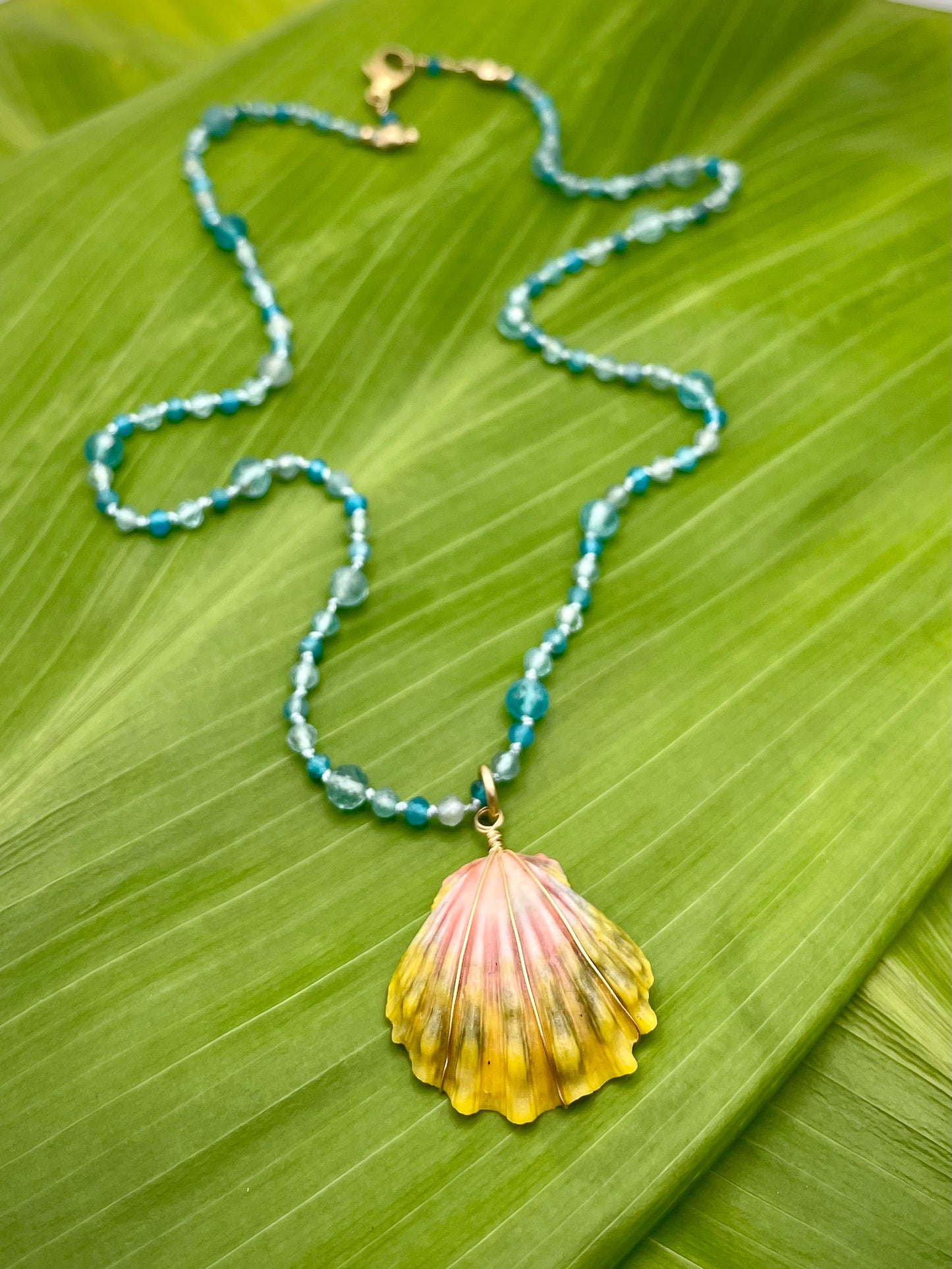 Sunrise Shell Necklace
