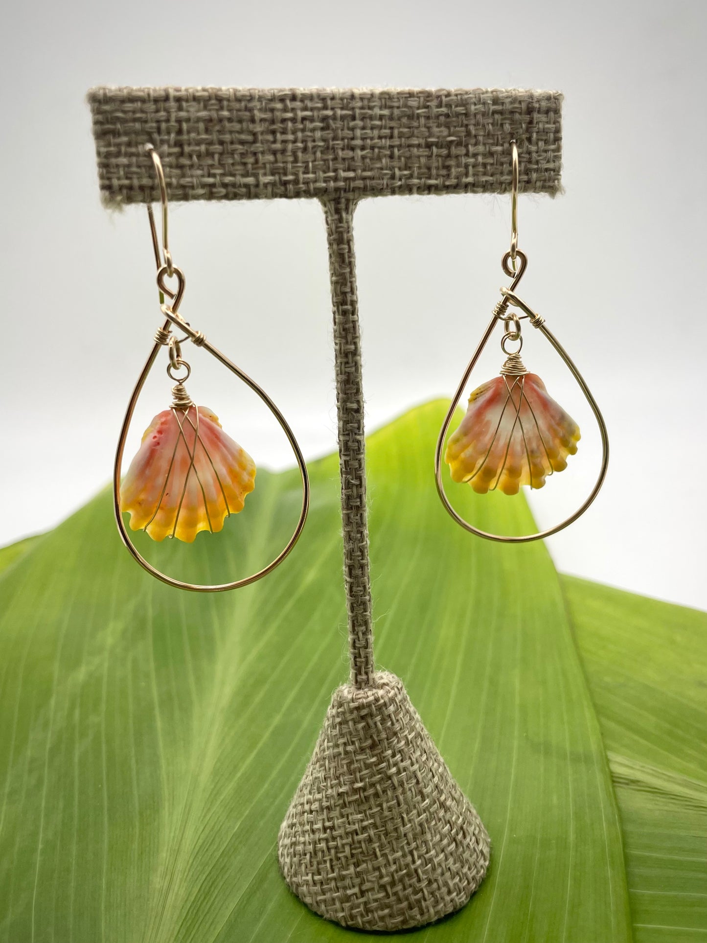 Sunrise Shell Teardrop Hoops