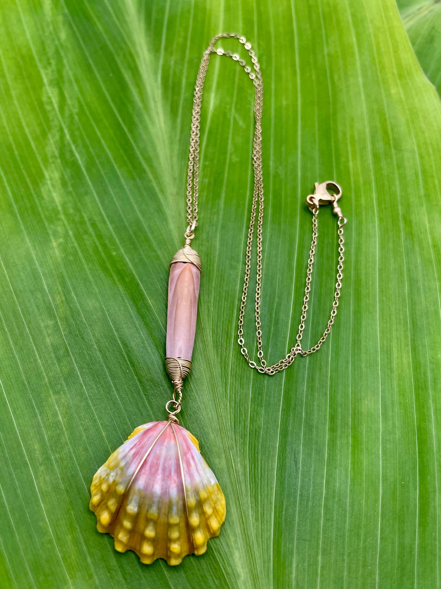 Sunrise Shell w/ Sea Urchin Necklace