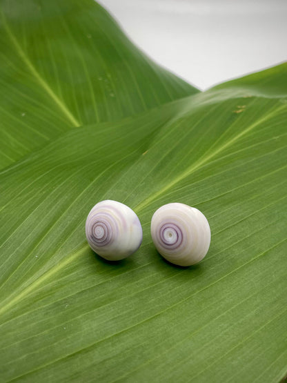 Puka Shell Studs