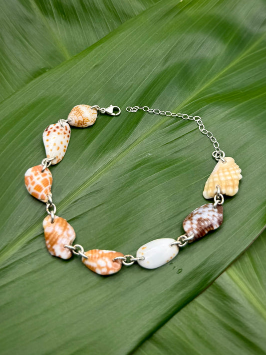 SS Shell Piece Bracelet