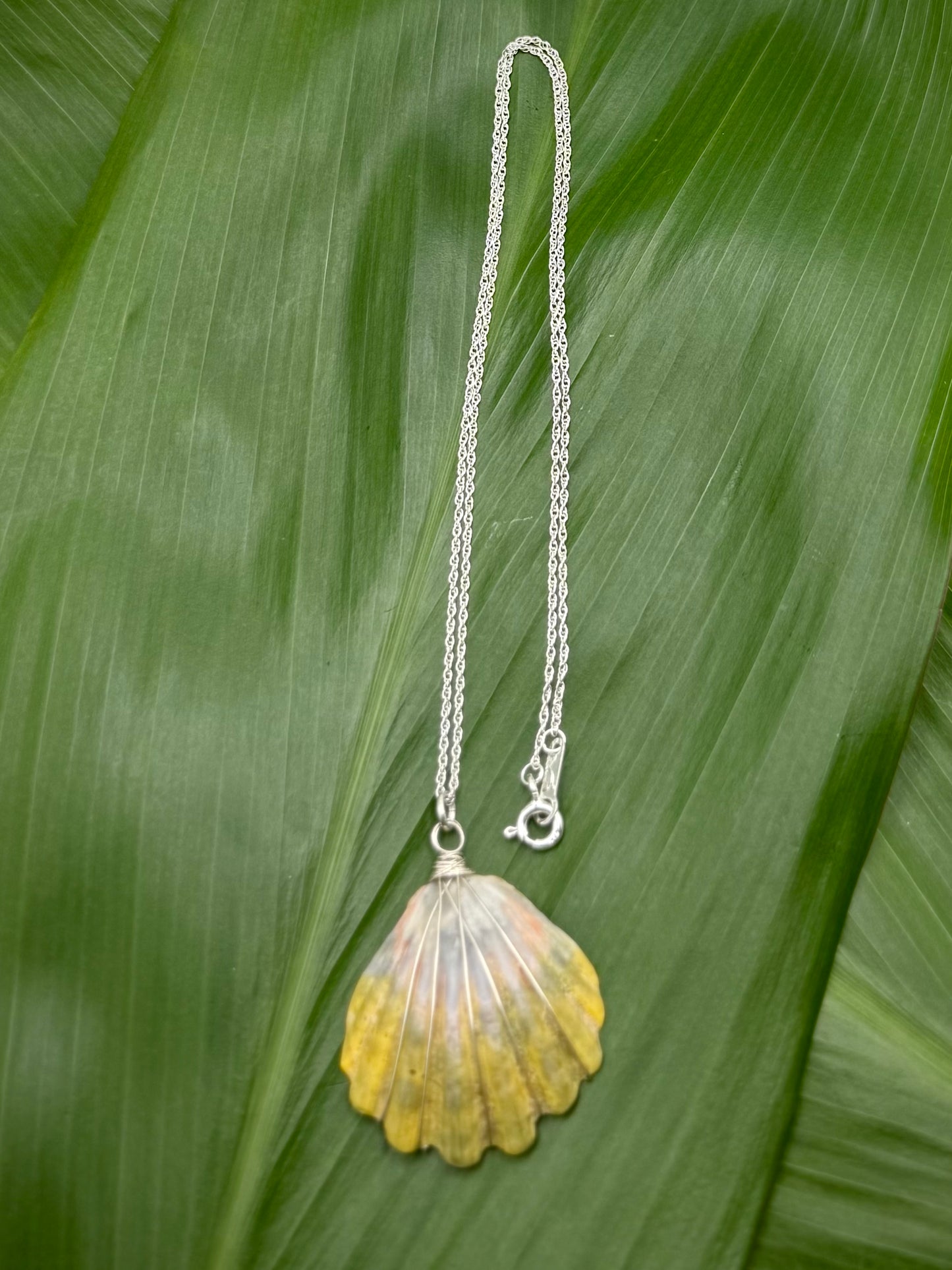 SS Sunrise Shell Necklace