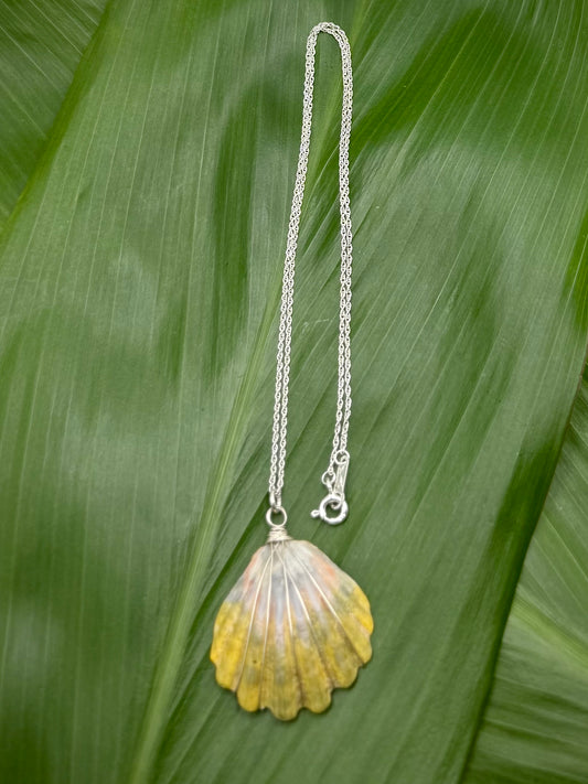 SS Sunrise Shell Necklace