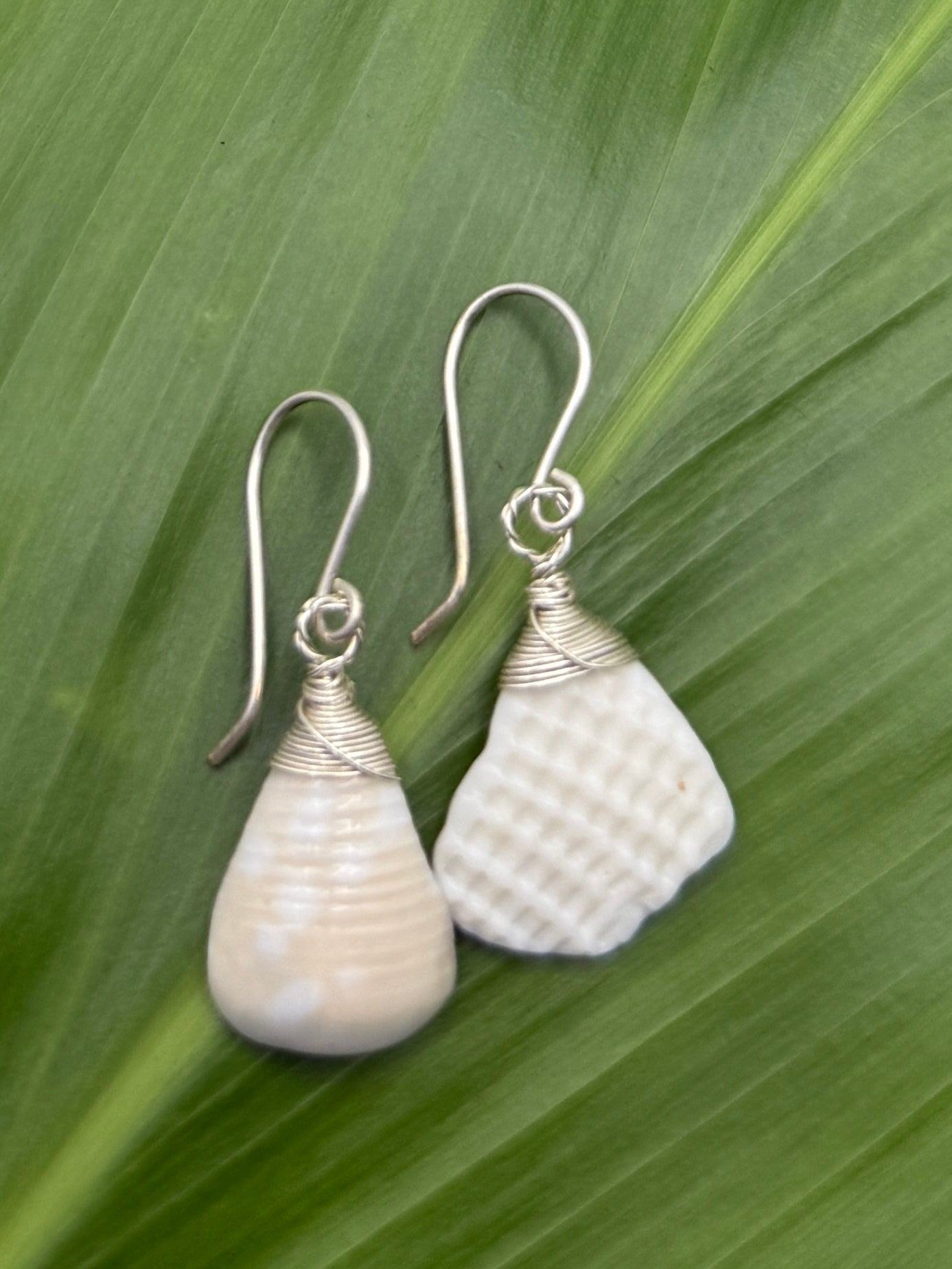 Wire Wrapped White Shell Pieces