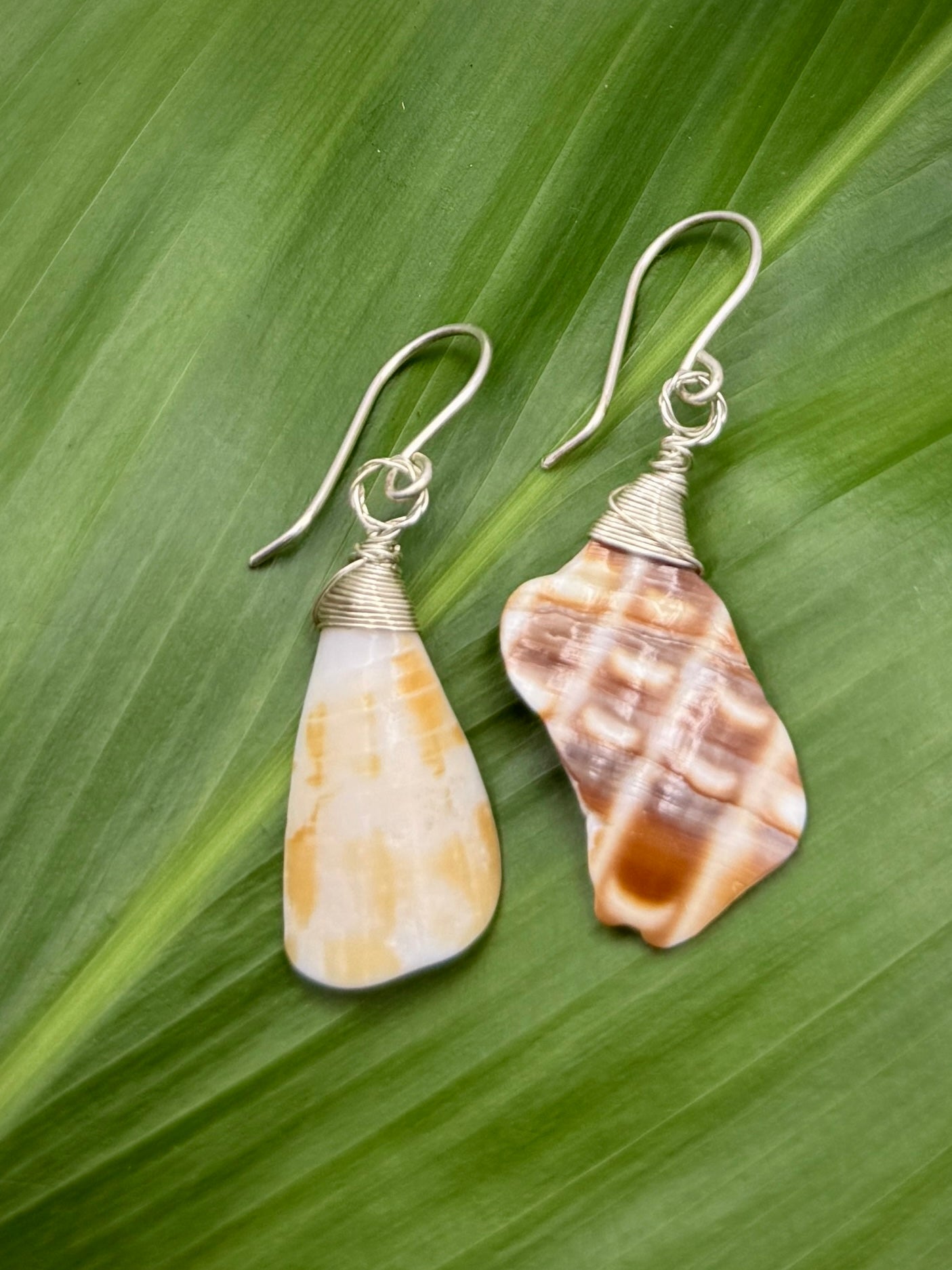 Mixed Yellow/Brown Shell Pieces