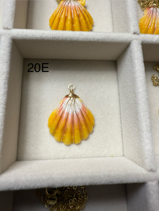16" GF Sunrise Shell Necklace 20E