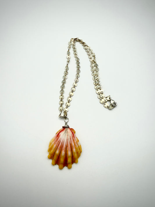 16" SS Disco Chain Sunrise Shell Necklace