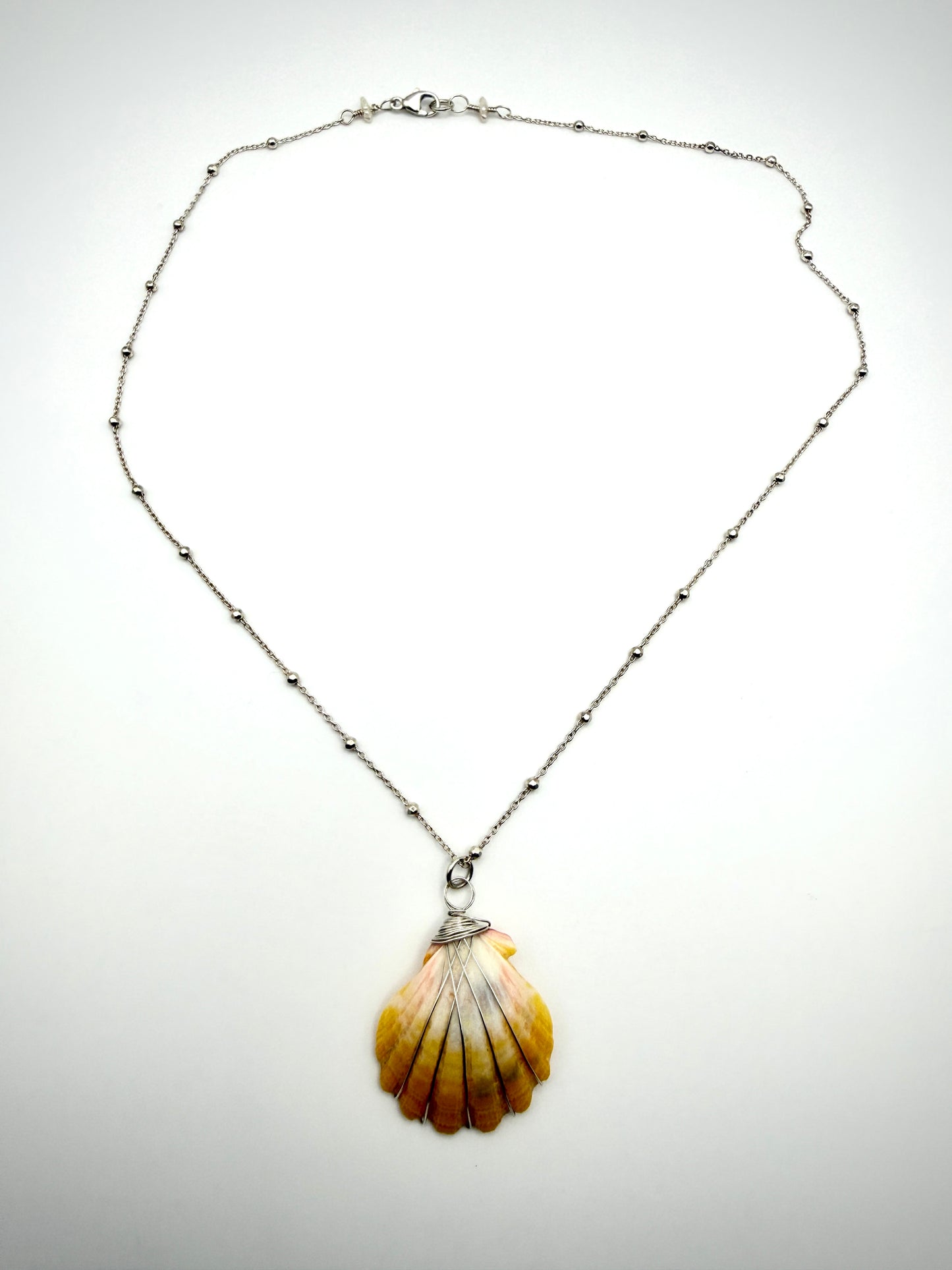 16" SS Satellite Chain Sunrise Shell Necklace