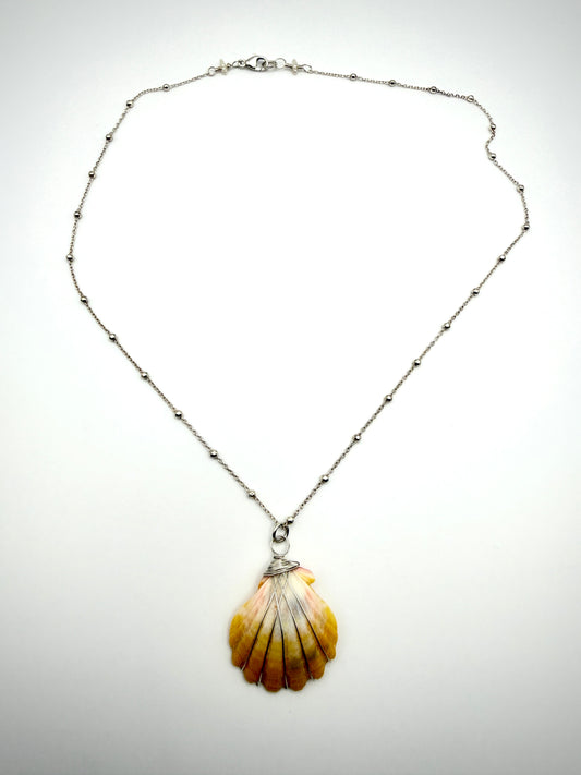 16" SS Satellite Chain Sunrise Shell Necklace