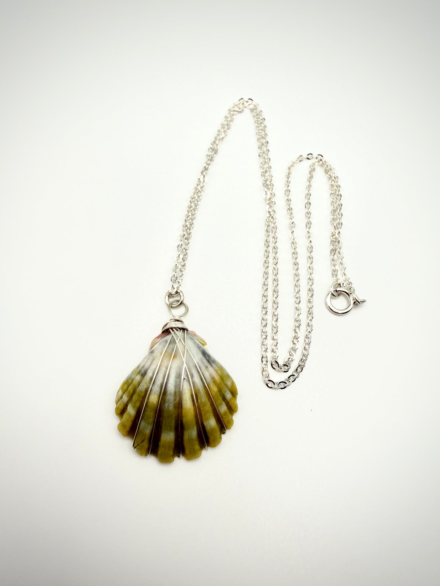 18" SS Sunrise Shell Necklace