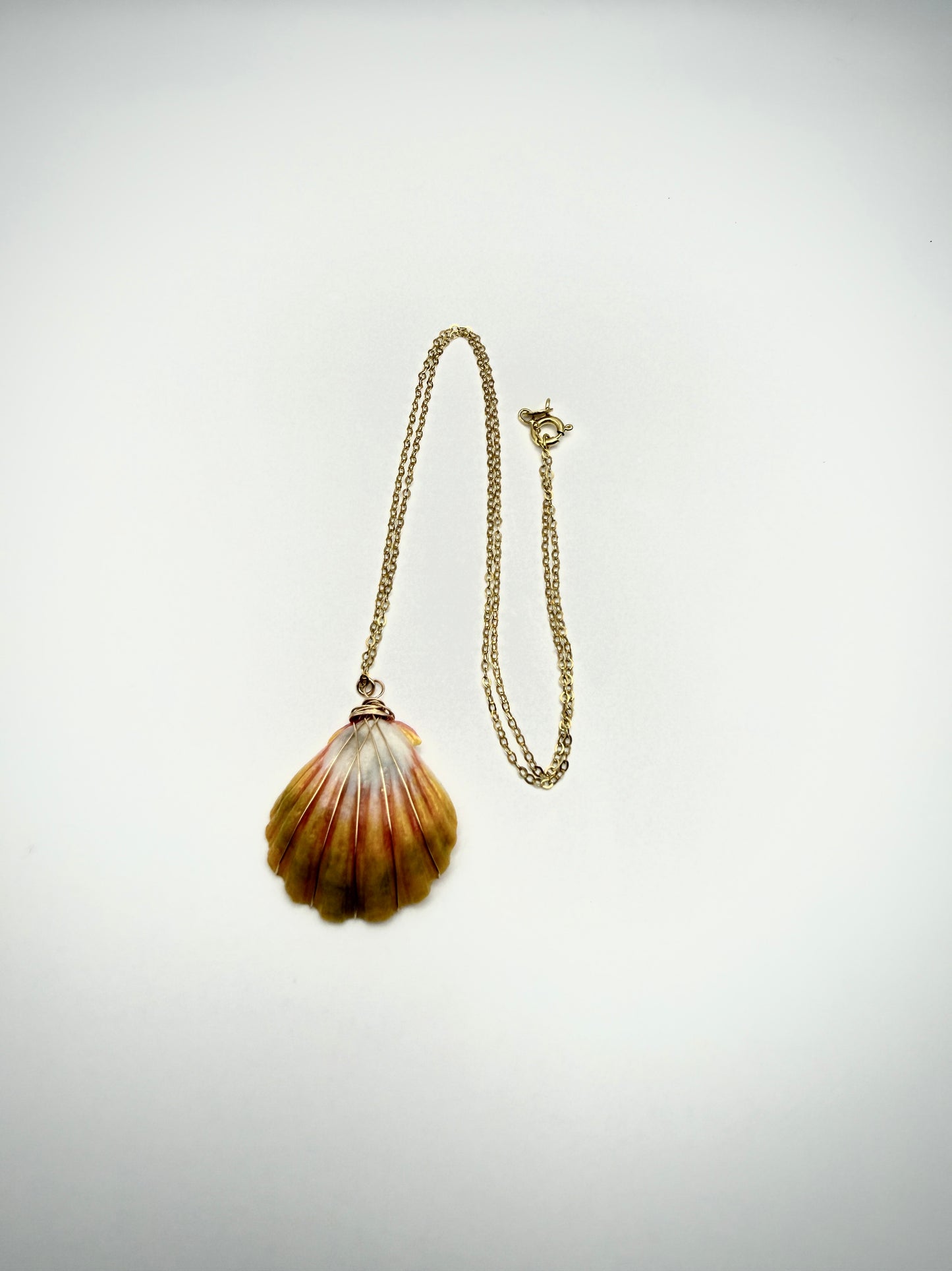 18" GF Sunrise Shell Necklace (K)