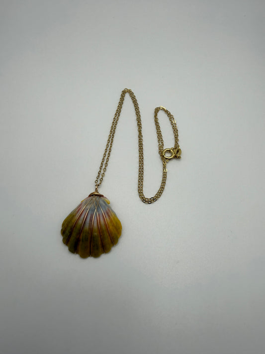 18" GF Sunrise Shell Necklace (M)