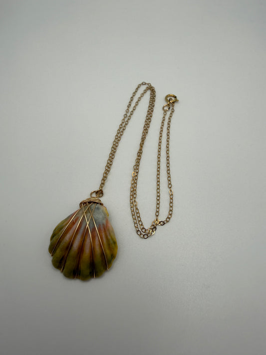 16" GF Sunrise Shell Necklace (O)