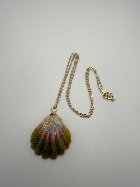 16" GF Sunrise Shell Necklace (P)