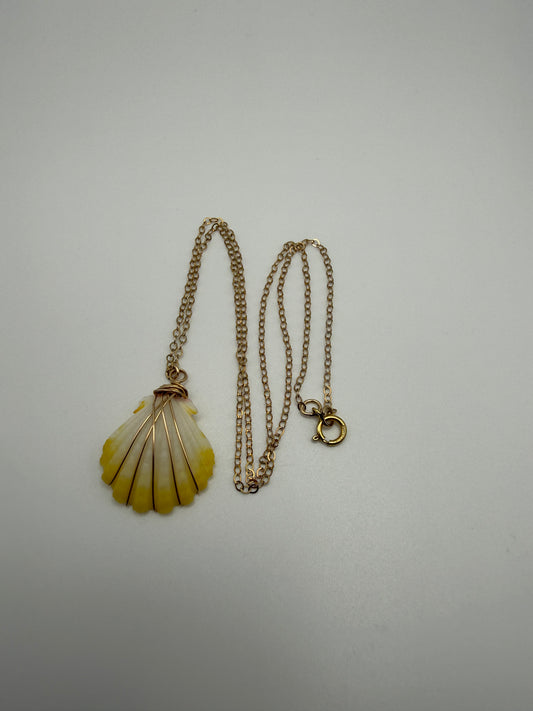 16" GF Sunrise Shell Necklace (W)