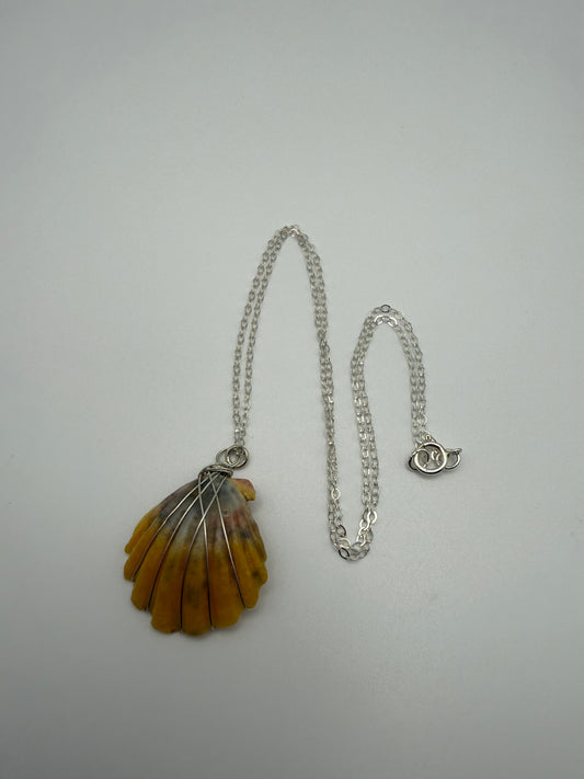 16" SS Sunrise Shell Necklace (A)