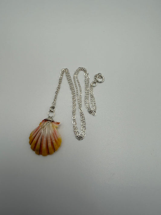 16" SS Sunrise Shell Necklace (B)