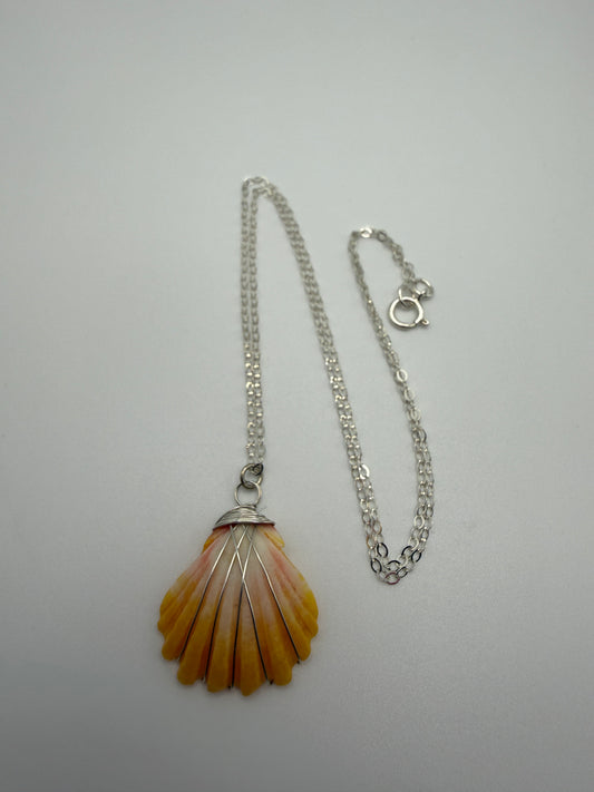 16" SS Sunrise Shell Necklace (C)