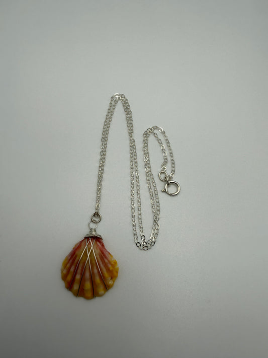 16" SS Sunrise Shell Necklace (D)