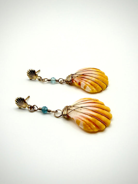 GF Sunrise Shell +Apatite Scallop Earrings