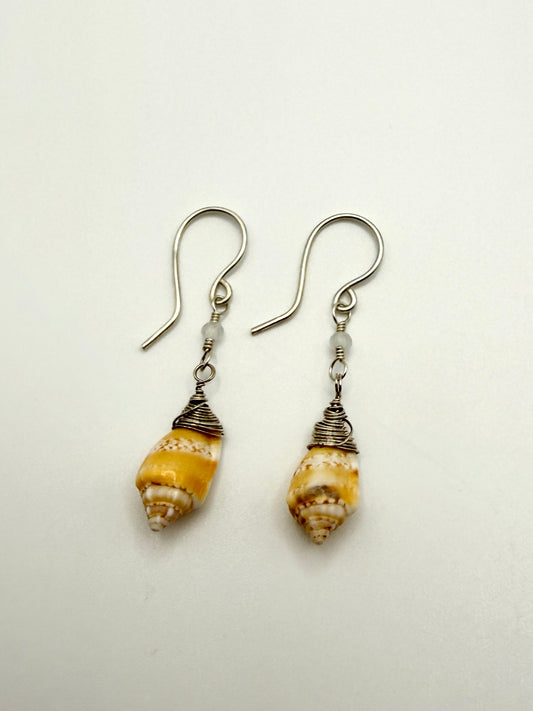 SS Stromb Shell+Moonstone Earrings