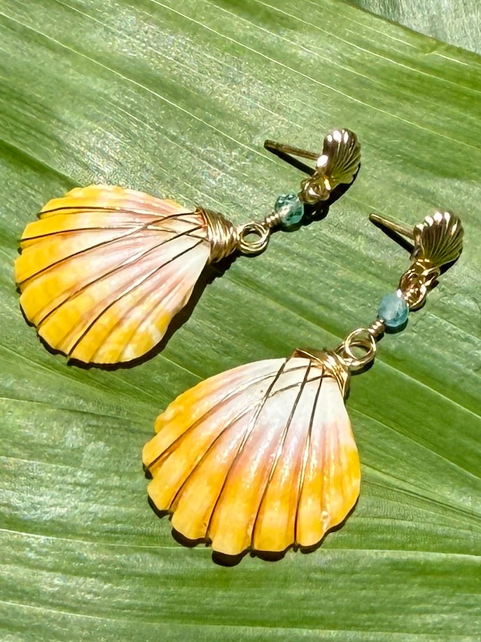 GF Sunrise Shell +Apatite Scallop Earrings