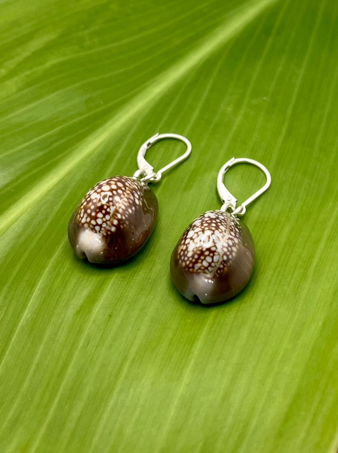 Simply Mia: Cowrie