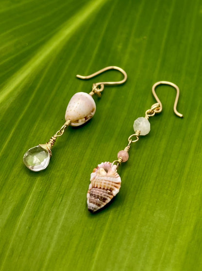 All That Glitters: Mini Cone Shell/Grye Triton Shell Mixmatch