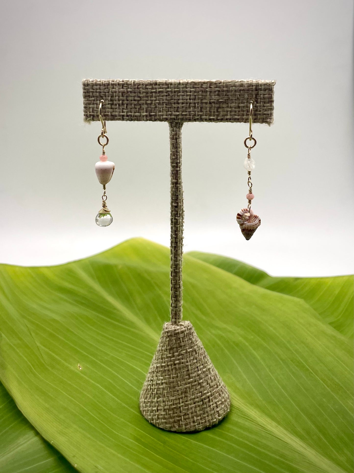 All That Glitters: Mini Cone Shell/Grye Triton Shell Mixmatch