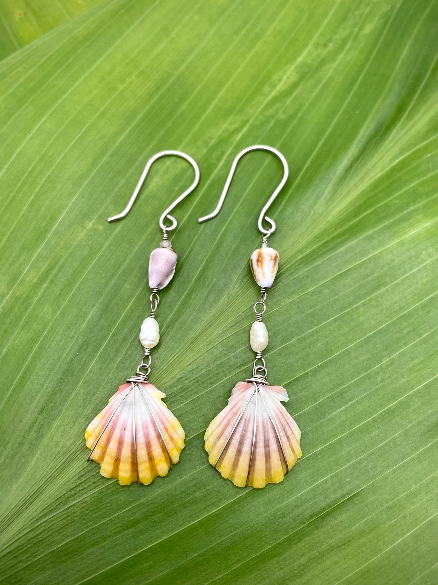 SS Sunrise Shell w/ Mini Cone Shell