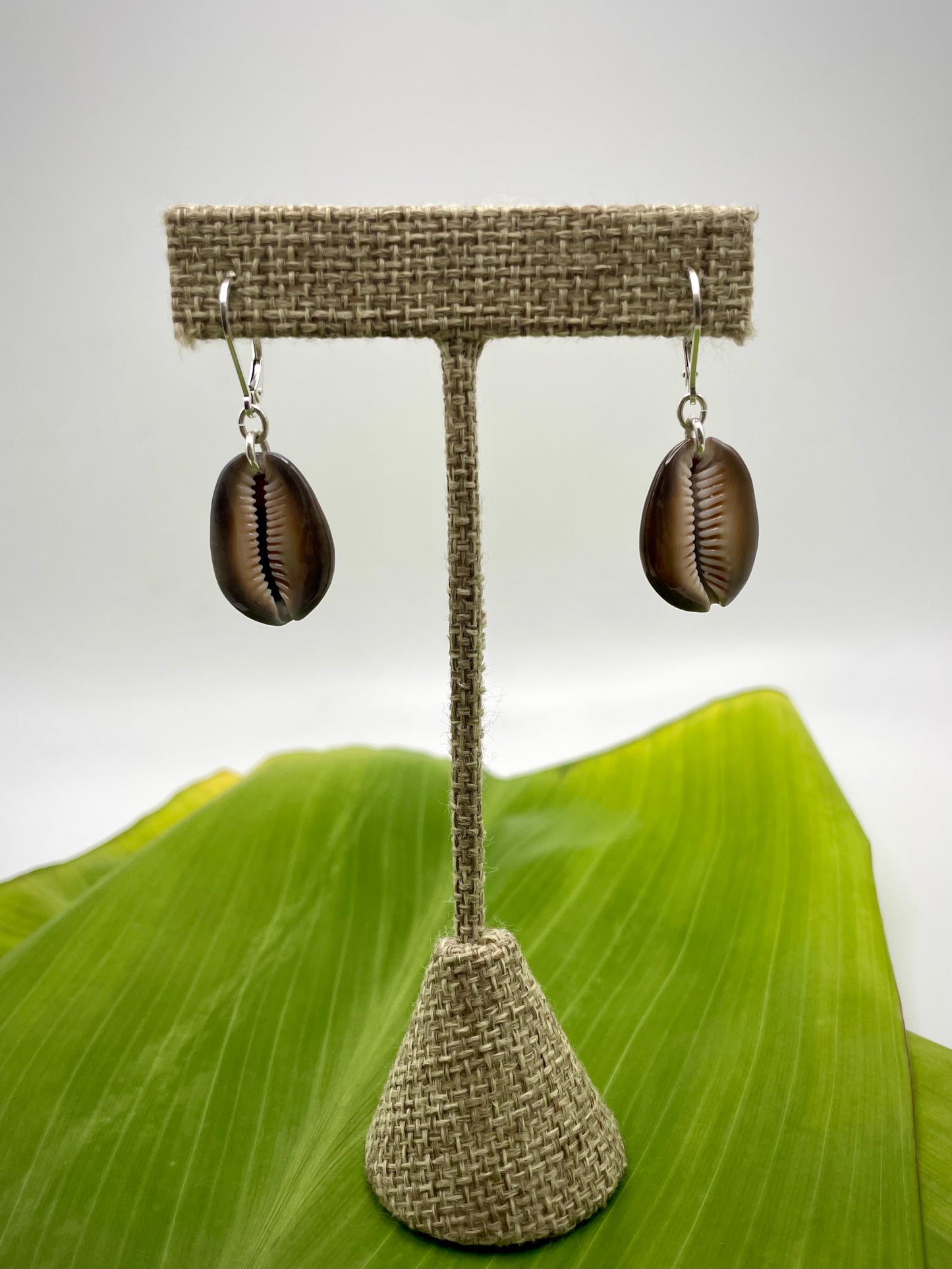 Simply Mia: Cowrie