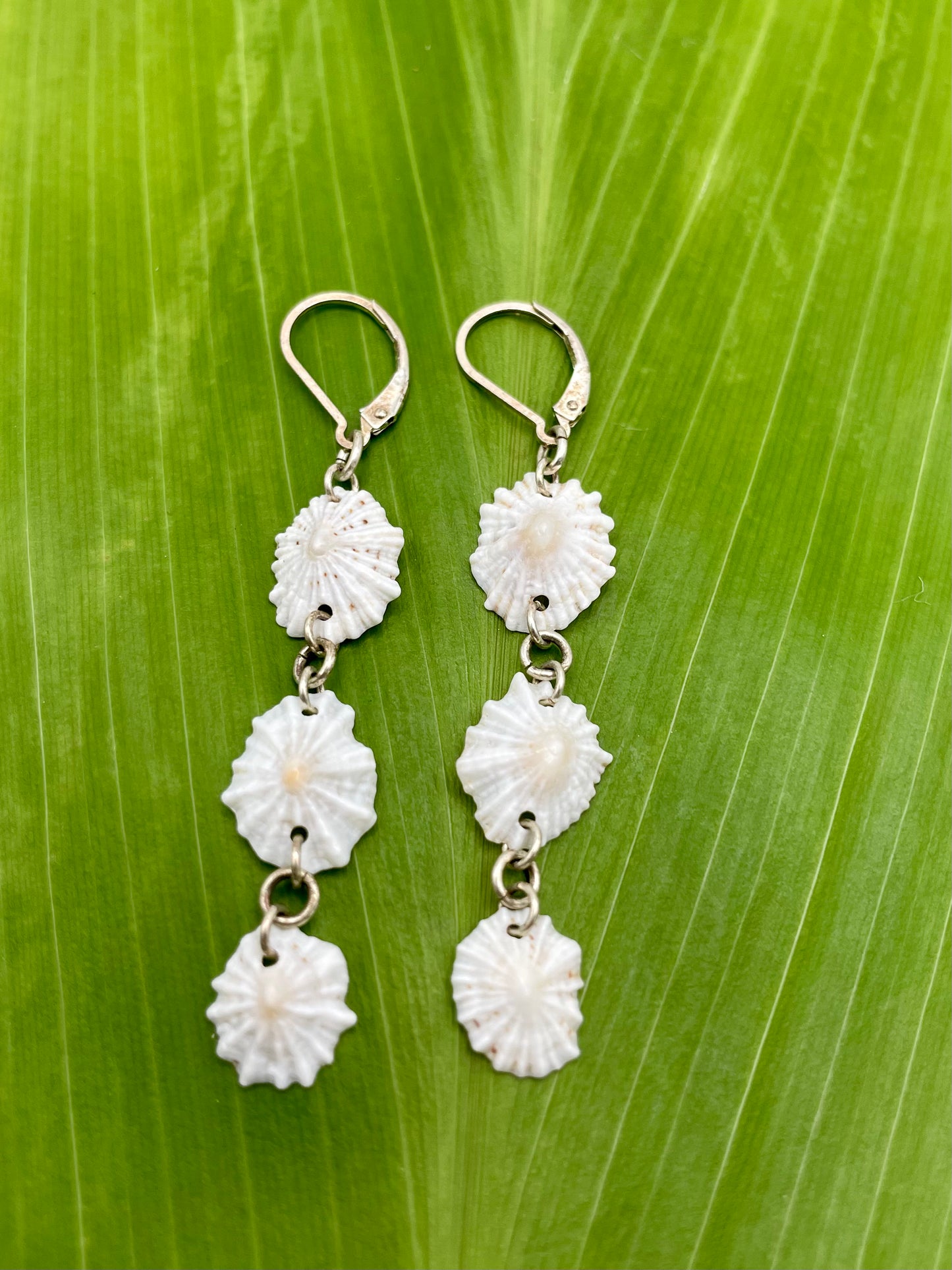 Simply Mia: False White Opihis