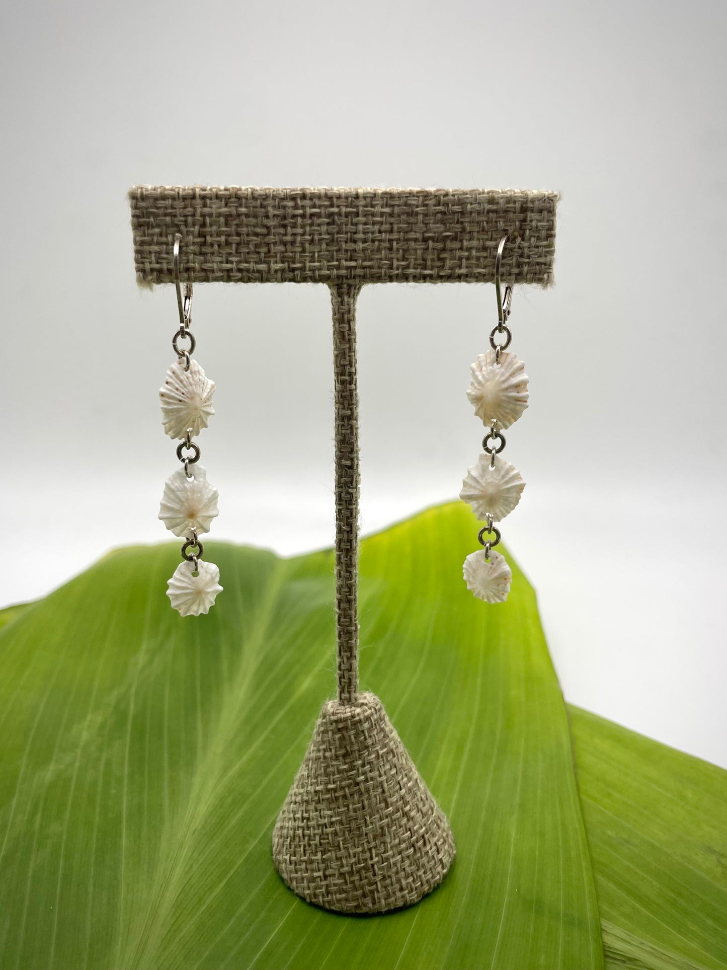 Simply Mia: False White Opihis